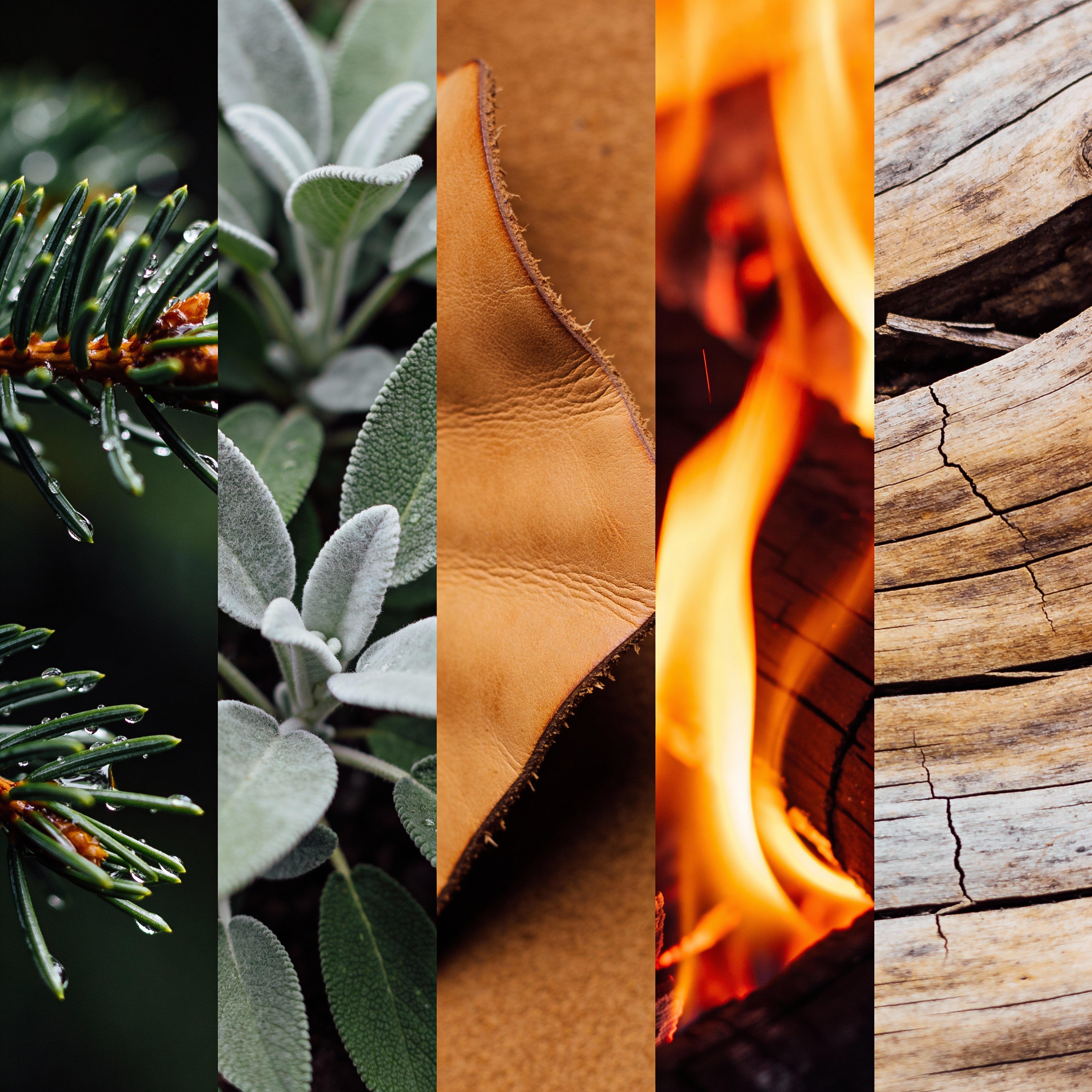 AURA Candle Bar Trout Unlimited Candles For A Cause Fundraiser featuring photo of balsam, smokey sage, leather, Ember & Ash and cedar