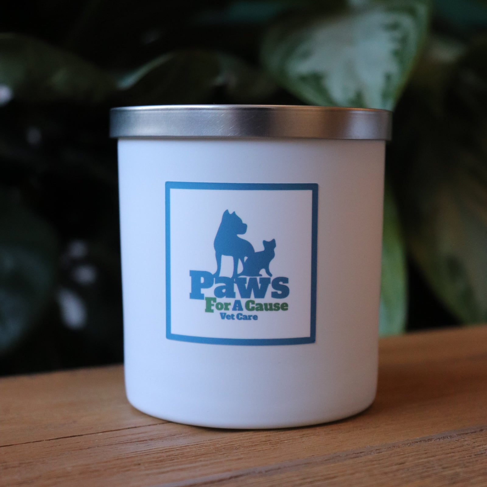 AURA Candle Bar's PAWS For A Cause Vet Care Candle in a matte white vessel with a silver lid.  Resting on a wooden surface with deep green plant in the background
